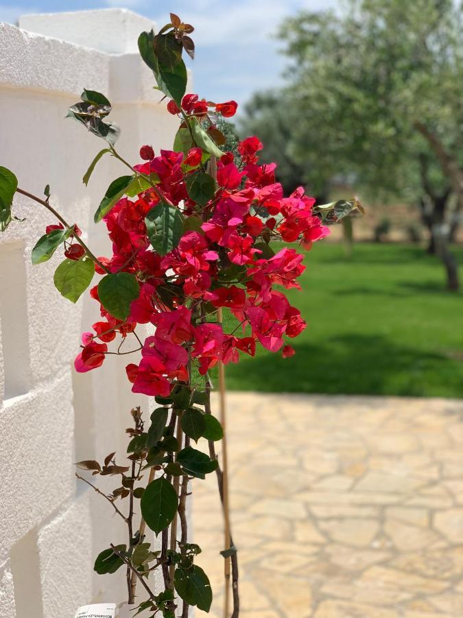 L'ulivo Bed & Breakfast Savelletri