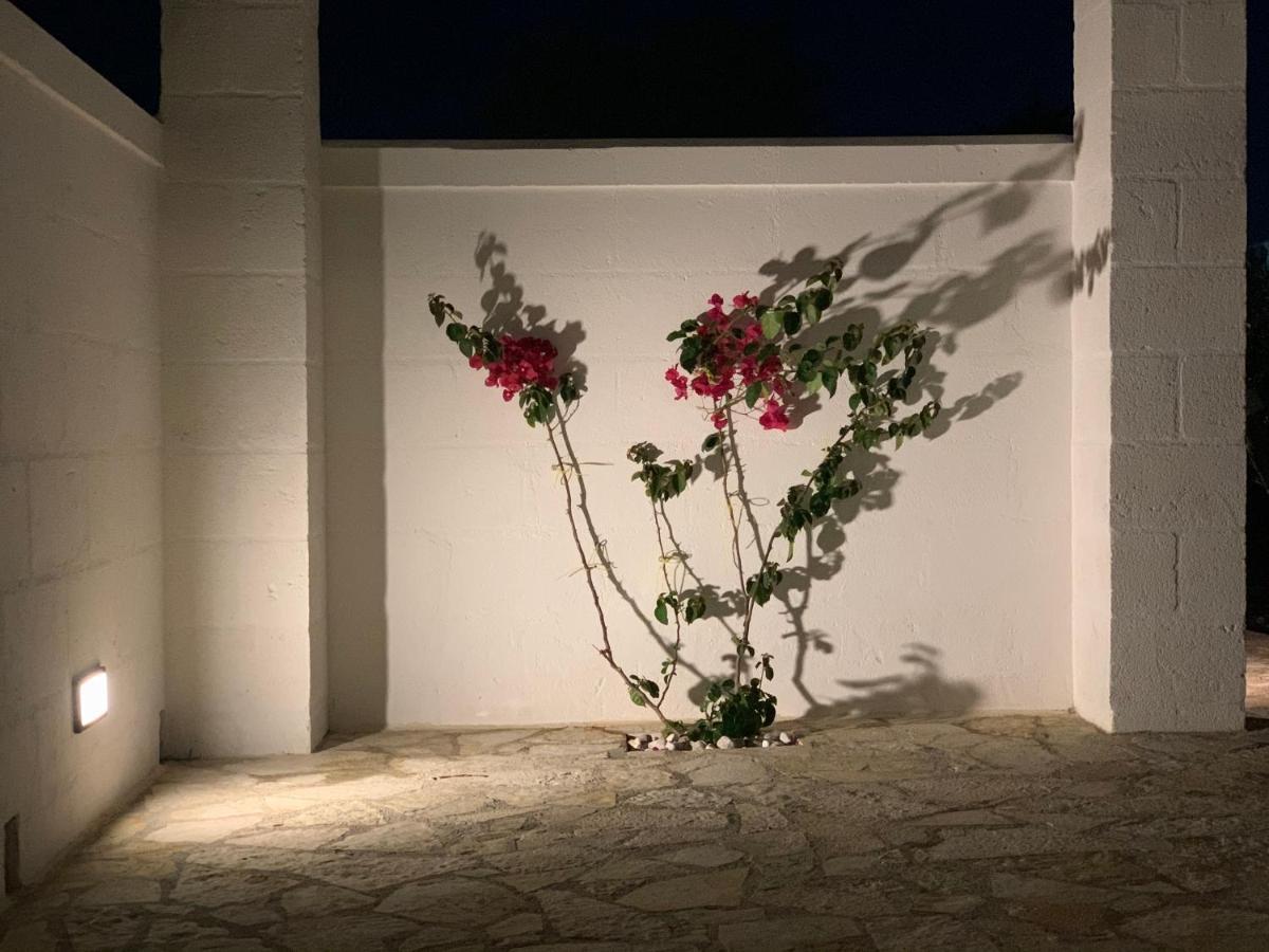 Bed & Breakfast L'ulivo Savelletri