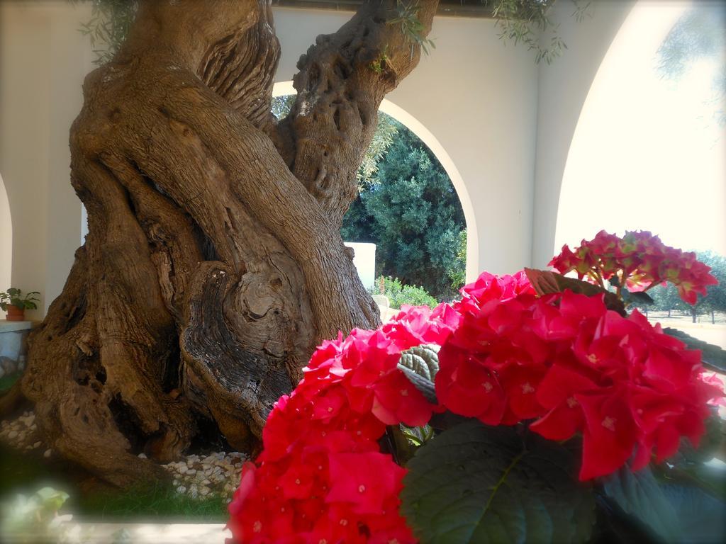 L'ulivo Bed & Breakfast *