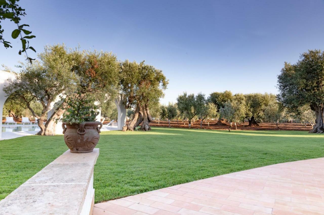 Bed & Breakfast L'ulivo *
