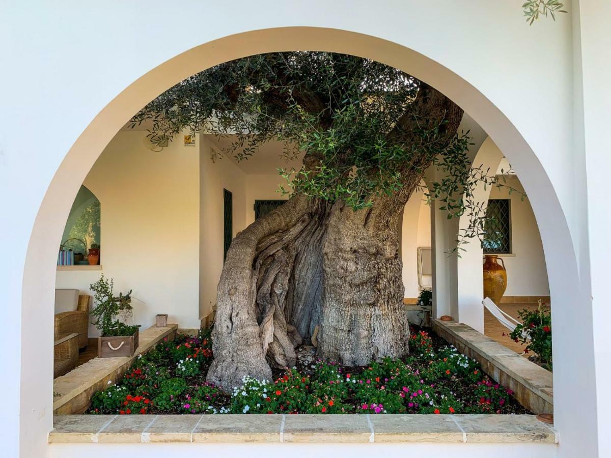 L'ulivo Bed & Breakfast